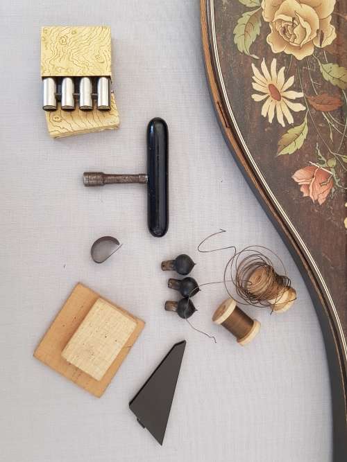 Rare Antique German Concert  Zither / Fretted Fingerboard / Lap Guitar in Carry Case