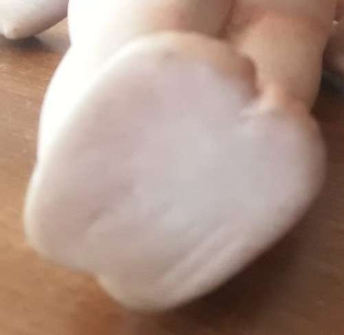 Antique Rose O`Neill Bisque / Porcelain , German Miniature 14cm Kewpie all Stamps and Stickers