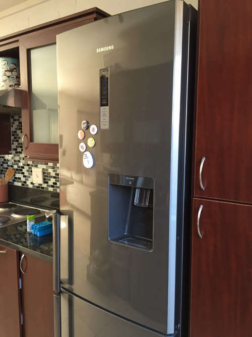 Samsung 308L Fridge (RL48RWCIH)