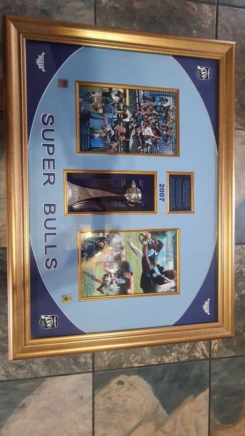 2007 bulls super rugby winners cup replica