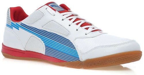 Mens PUMA Evospeed Sala and Puma Powercat