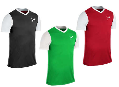 Men's Puma Active T-shirts & Shorts