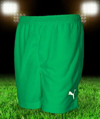 PUMA ORIGNAL ADRENO DRY CELL SHORTS FOR MEN SIZE LARGE!!!!!!