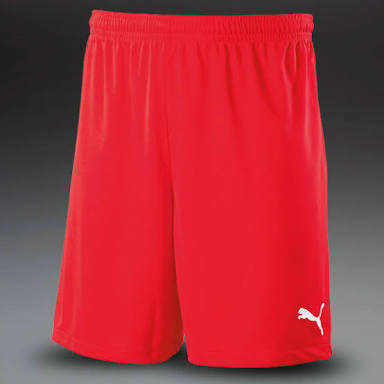 PUMA ADRENO DRY CELL SHORT FOR MEN SIZE LARGE !!!!MARKET VALUE R599.99