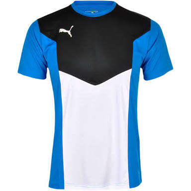 PUMA ORIGNAL FTBRG TEE FOR MEN SIZE LARGE !!!!MARKET VALUE R699.99