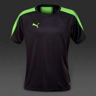 PUMA ORIGNAL IT EVO TEE FOR MEN SIZE MEDIUM  !!!!MARKET VALUE R799.99