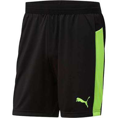 PUMA IT EVO SHORTS FOR MEN SIZE MEDIUM !!!!!! MARKET VALUE R699.99