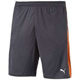 PUMA DRY ESSENTIAL SHORTS FOR MEN SIZE MEDIUM !!!!!! MARKET VALUE R699.99