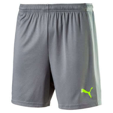 PUMA IT EVO SHORTS FOR MEN SIZE LARGE !!!!!! MARKET VALUE R699.99