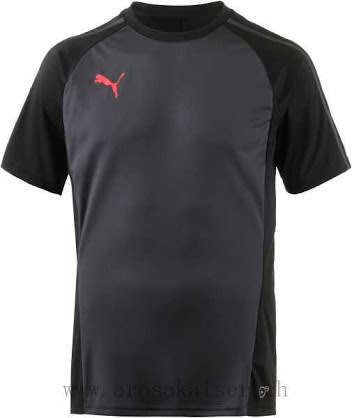 PUMA ORIGNAL EVO TRG TEE FOR MEN SIZE MEDIUM !!!!!! MARKET VALUE R699.99