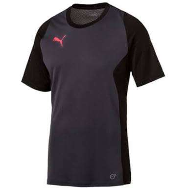 PUMA ORIGNAL EVO TRG TEE FOR MEN SIZE MEDIUM !!!!!! MARKET VALUE R699.99