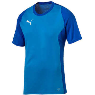 PUMA ORIGNAL TRG DRY CELL TEE FOR MEN SIZE LARGE  !!!!!! MARKET VALUE R699.99