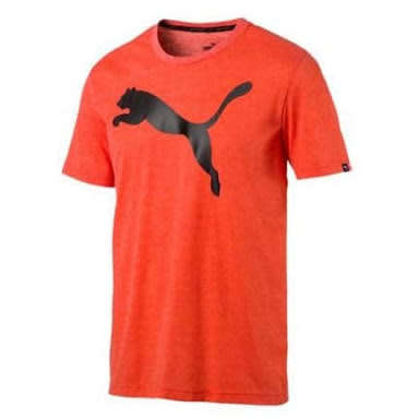 PUMA ORIGNAL BIG CAT TEE FOR MEN SIZE EXTRA LARGE !!!!!! MARKET VALUE R499.99