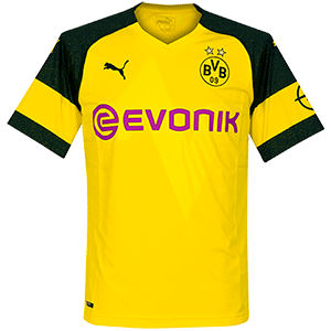 DORTMUND OFFICIAL HOME KIT SIZE LARGE !!!!!! MARKET VALUE R1299.99