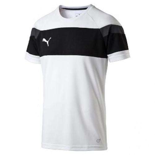 PUMA ORIGINAL SPRIT TEE FOR MEN SIZE LARGE  !!!!!! MARKET VALUE R499.99