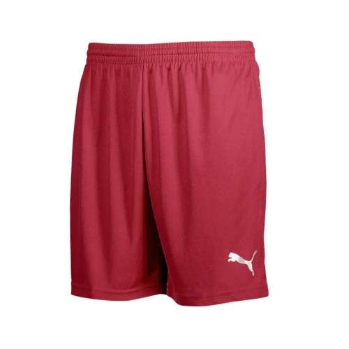 Puma Original Liga Shorts For Men Size Large !!!!!! Value R499.99