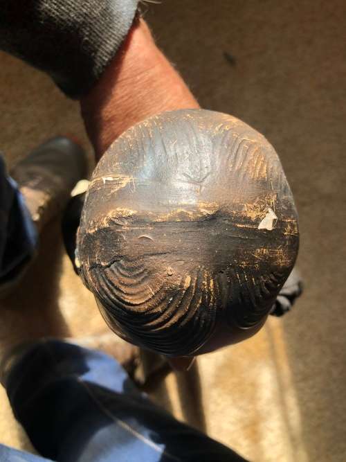 Very old Charlie ventriloquist doll!