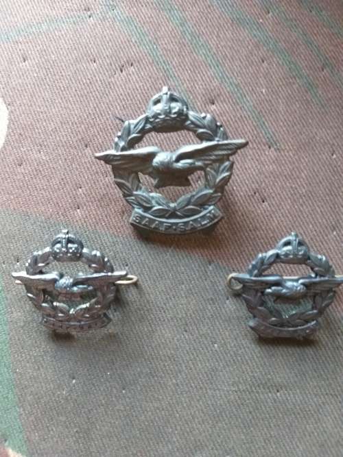 WW2 SAAF BADGE SET