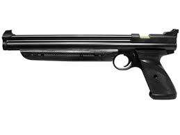 Crosman P1322 .22 pellet gun