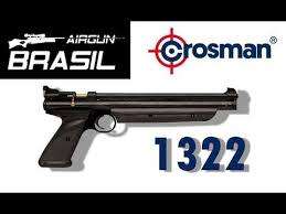 Crosman P1322 .22 pellet gun