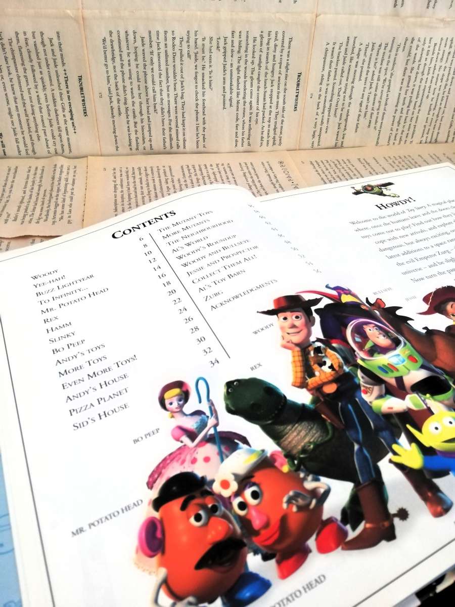 Toy Story: The Essential Guide