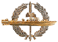 Strike Craft Badge - start @ R1