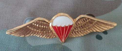 SADF Freefall Parachute wings - bronze wing & epoxy