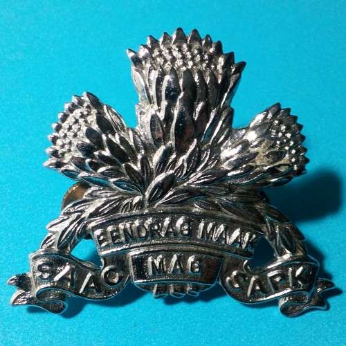SA ARMOURED CORPS (SAAC) chrome cap badge!