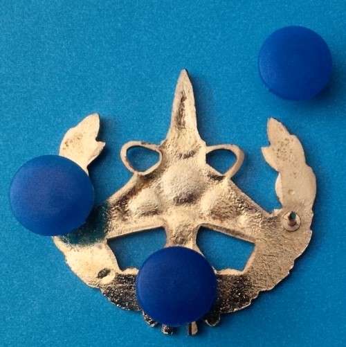 Rare!! SAAF COMMAND & CONTROL badge!!