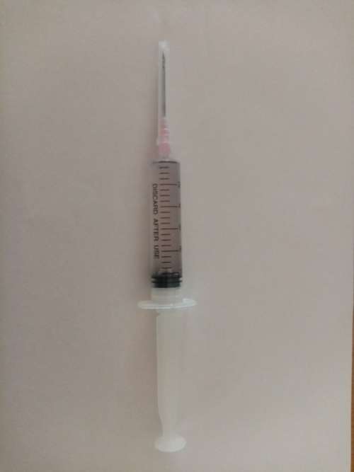 Mushroom Spore Syringes 10ml