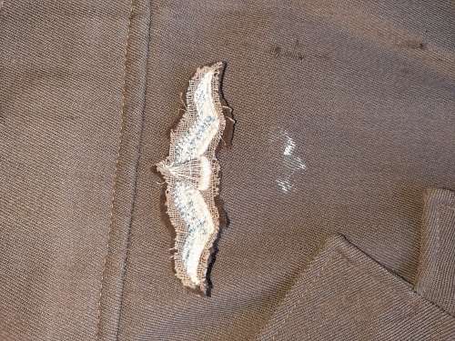 1 parachute battalion bunny jacket with cloth flashes x 1 wing