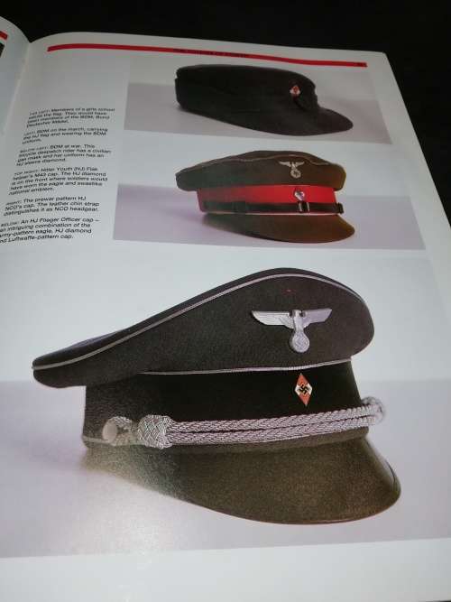 Ww2 German army regalia book