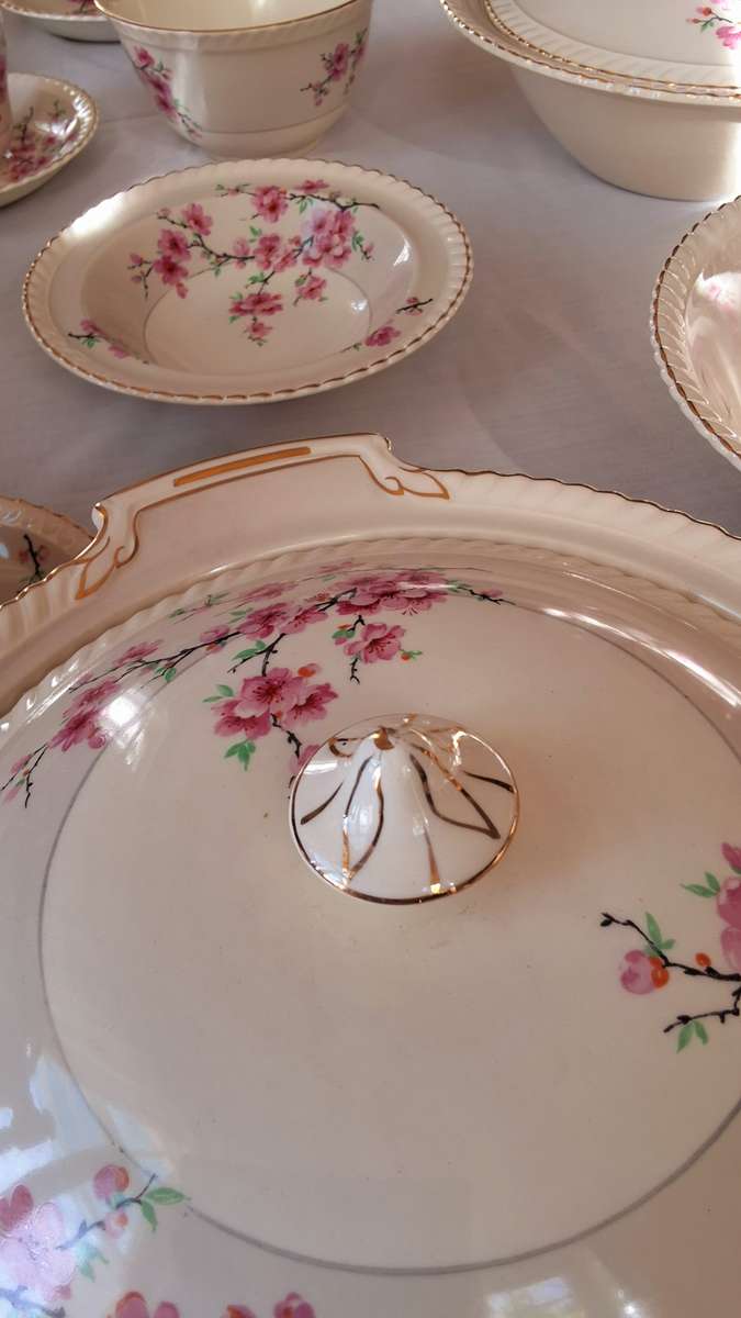 Dinner Set: Gold Trim & Pink Carnations by Johnson Bros
