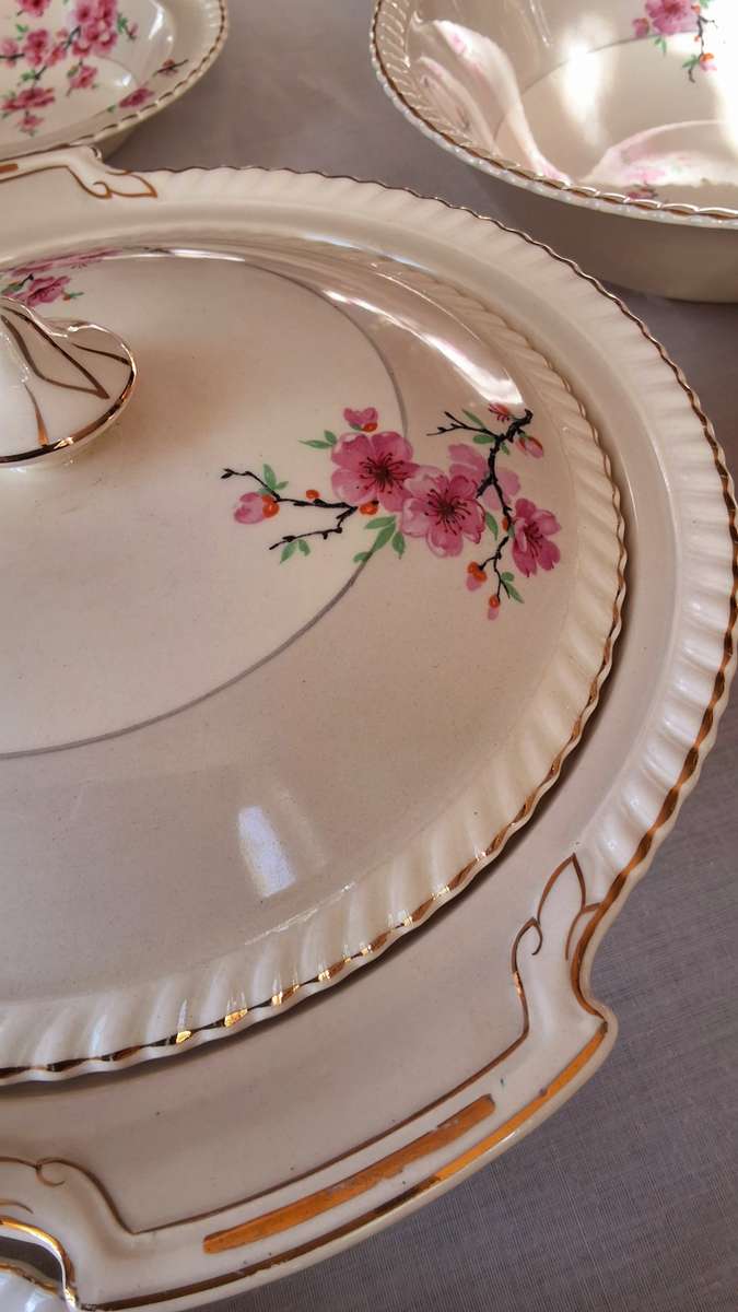 Dinner Set: Gold Trim & Pink Carnations by Johnson Bros
