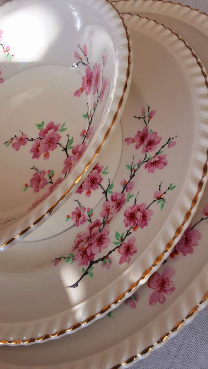 Dinner Set: Gold Trim & Pink Carnations by Johnson Bros