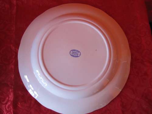 6 SPODE DINNER PLATES