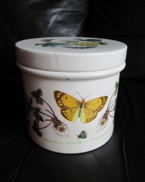 Vintage Susan Williams Ellis Botanical Portmeirion Lidded Jar from Blisful