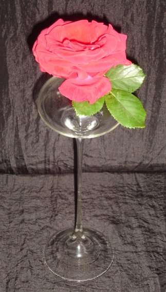 HAND BLOW GLASS POSY HOLDER from BLISFUL