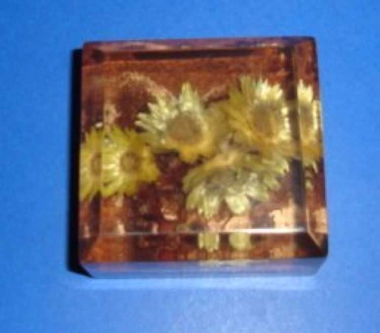 LUCITE ENCASED FLOWERS from BLISFUL