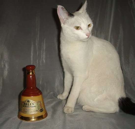 WADE BELLS OLD SCOTCH WHISKY 187.5ml BOTTLE