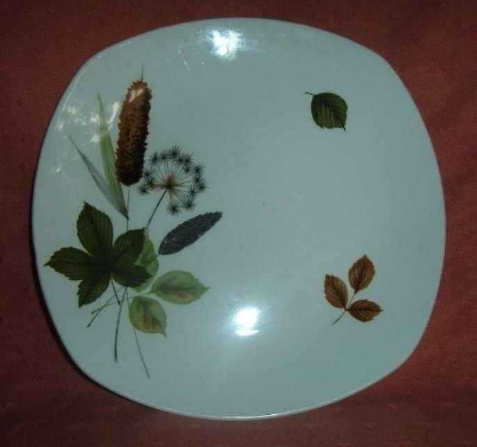 MIDWINTER STAFFORDSHIRE FASHION SHAPE PLATE from BLISFUL