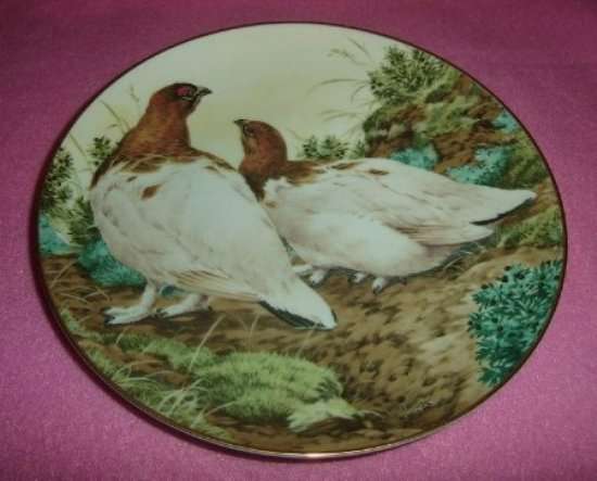 1983 THE FOREST YEAR " Ptarmigans show off November Plumage " by JOHN FRANCIS from BLISFUL