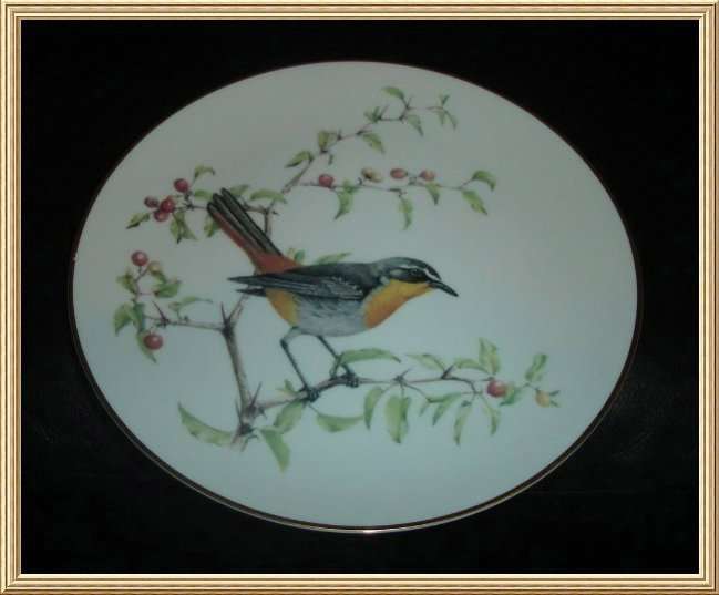 Limited Edition " Best Loved Birds of SA, Cape Robin " Wall Plate from BLISFUL