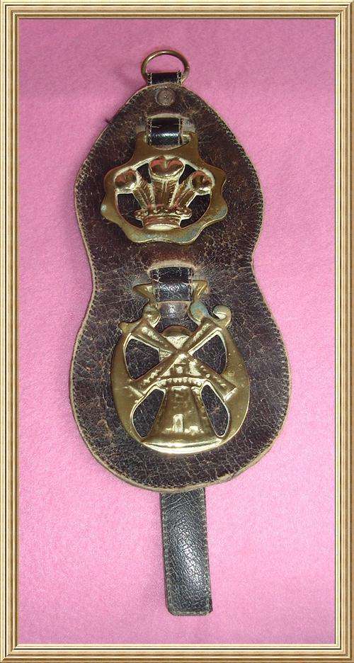 Leather Strapped Horse Brasses from Blisful