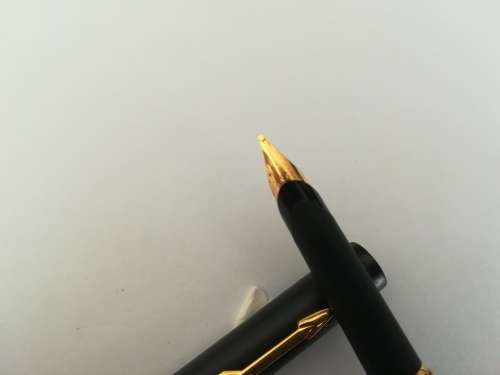 Crazy R1 Parker 95 Fountain pen !!!!!