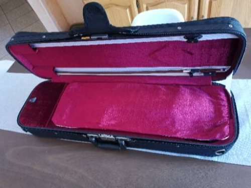 Fender FV Electric Vioin with Case and other extras