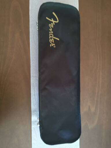 Fender FV Electric Vioin with Case and other extras