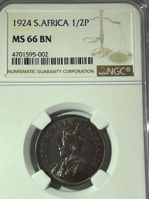 1924 1/2 penny MS66BN Ngc Pop 1