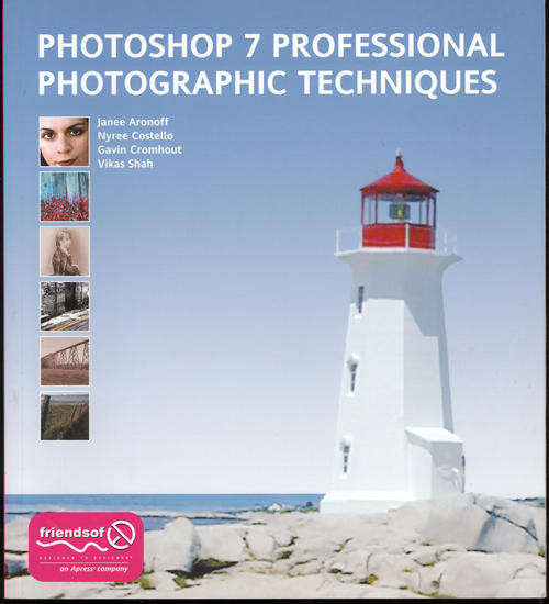 Photoshop 7 professional photographic techniques