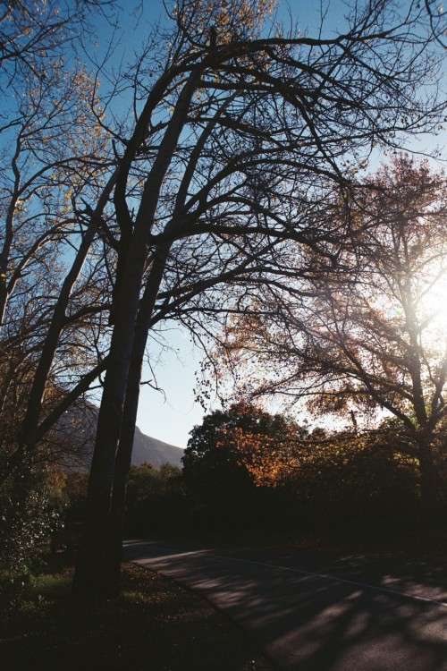 Pentax MZ-30 35mm SLR film camera